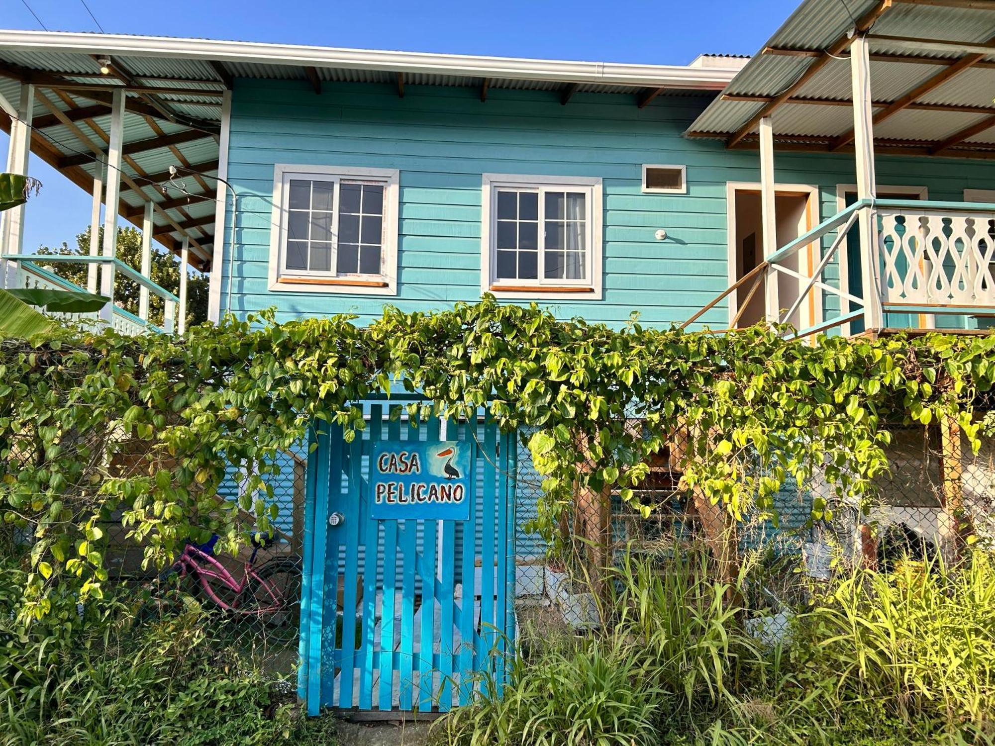 Casa Pelicano Bocas del Toro Exterior photo
